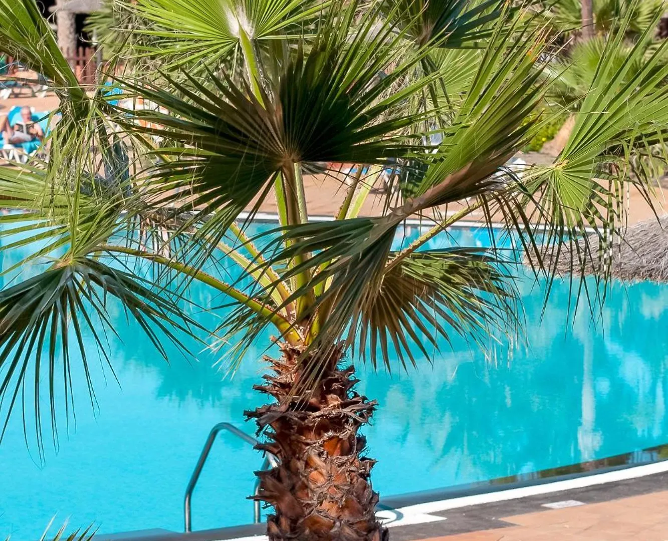 Fuerteventurapartments Corralejo
